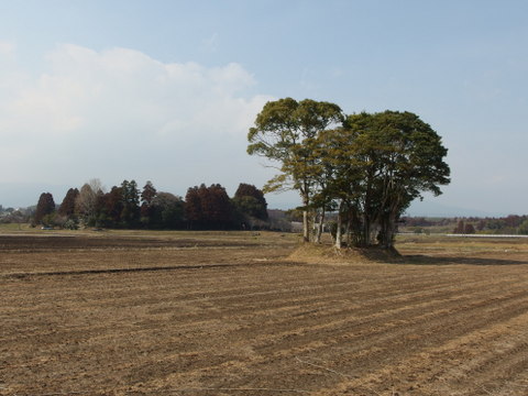 b0199742_9153578.jpg