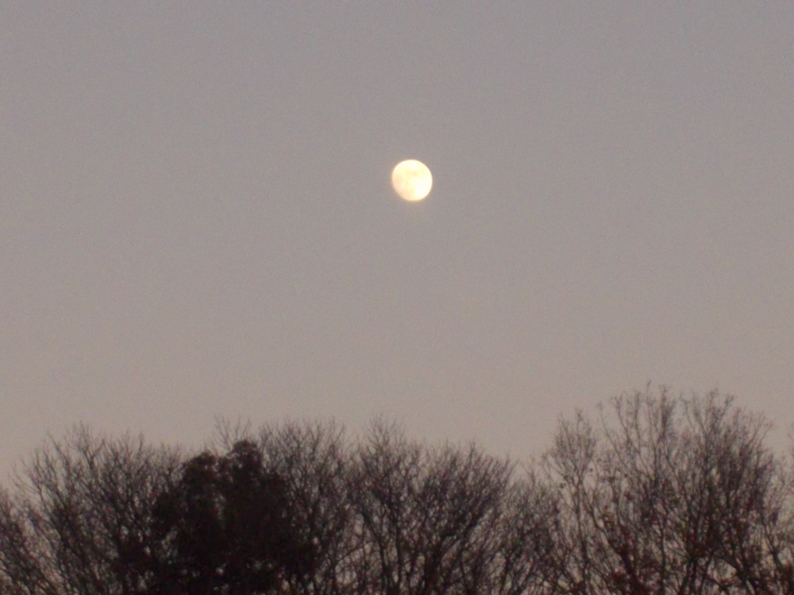 a0054043_23243633.jpg