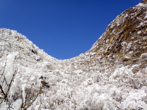c0179351_21161595.jpg
