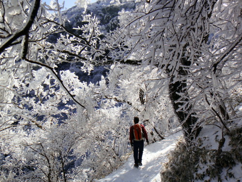c0179351_2117324.jpg