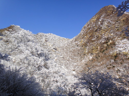 c0179351_21182551.jpg