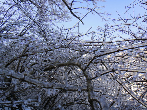 c0179351_2118332.jpg