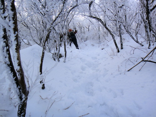 c0179351_21185643.jpg