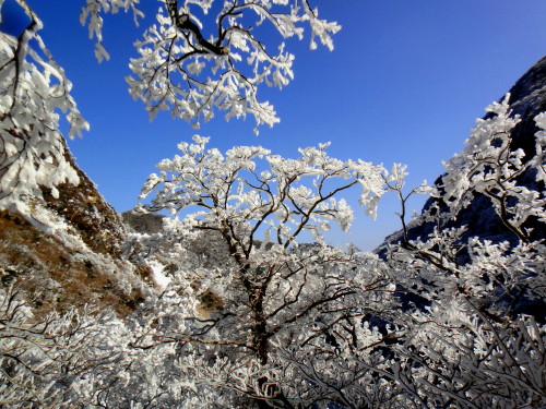 c0179351_21241251.jpg