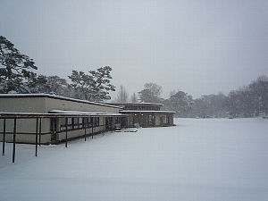 f0035962_1052378.jpg