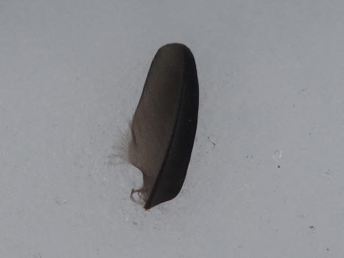 c0122670_23541577.jpg