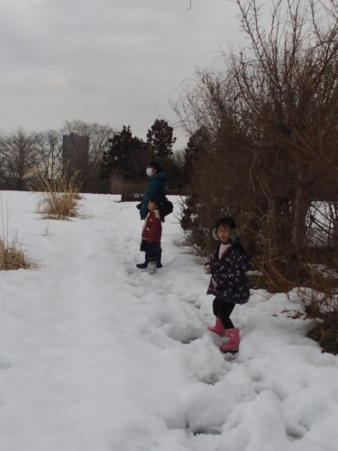 c0122670_23543223.jpg
