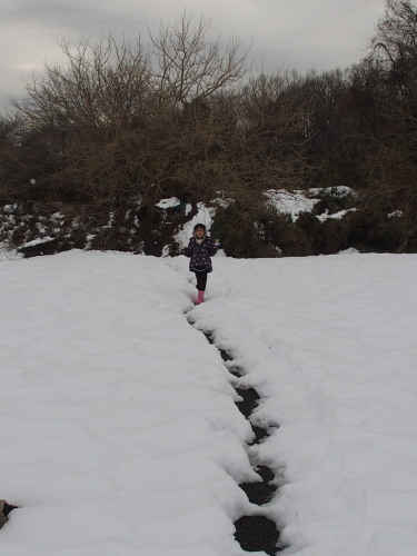 c0122670_2355134.jpg