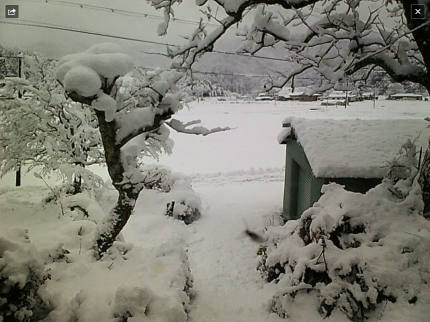 b0042882_12490648.png