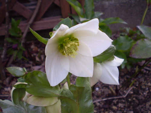 a0135990_2223267.jpg