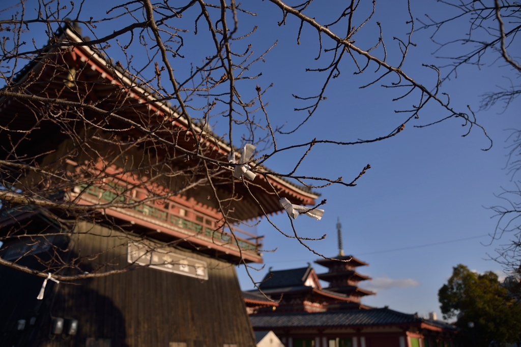 d0288500_22011796.jpg