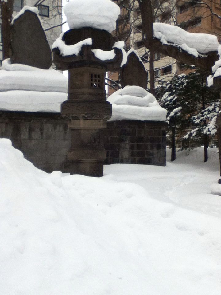 e0322201_910650.jpg