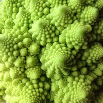a0192020_20381061.jpg
