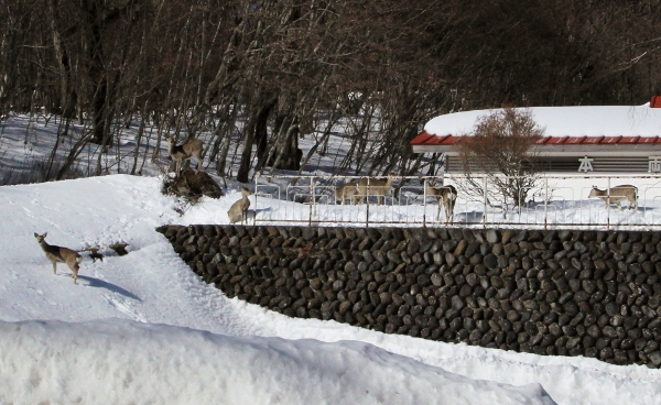 e0227942_22100793.jpg