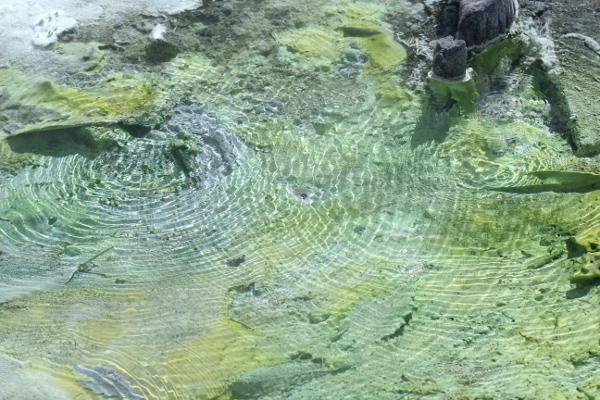 e0227942_22345979.jpg