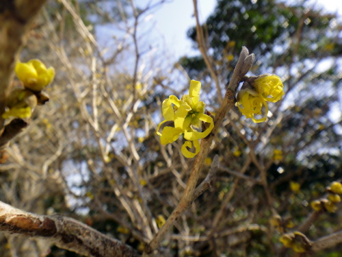 c0179351_1732560.jpg