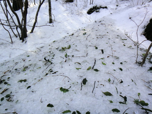 c0179351_17371775.jpg