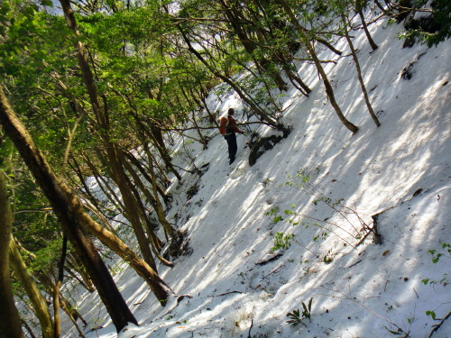c0179351_17384943.jpg