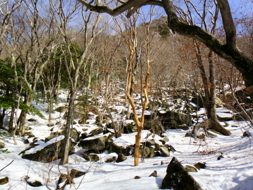 c0179351_17443589.jpg