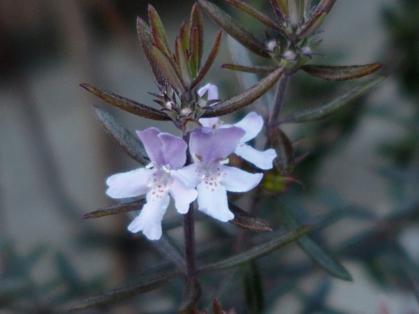 c0122670_23595199.jpg