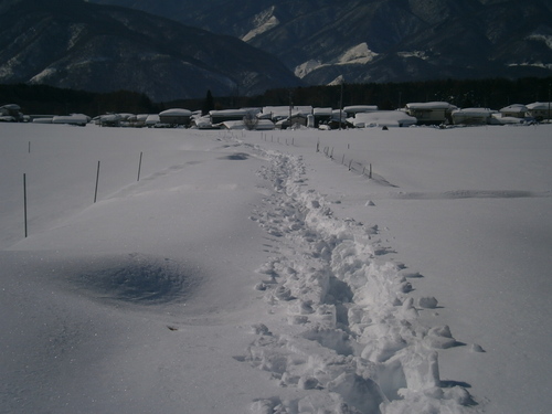 a0240971_1019559.jpg