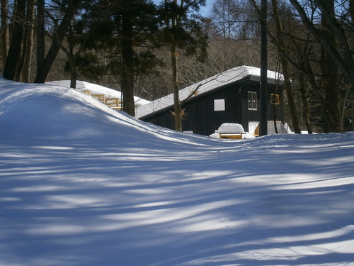 a0240971_10341126.jpg