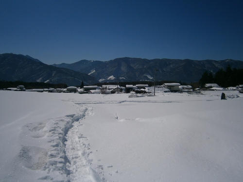a0240971_1101378.jpg