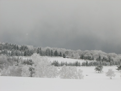 d0050472_20151124.jpg