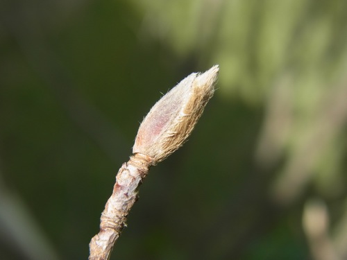 d0050472_22152428.jpg