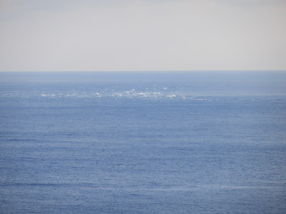 e0292172_20365694.jpg