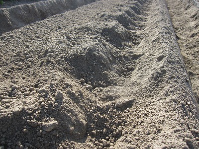 e0098473_23571411.jpg