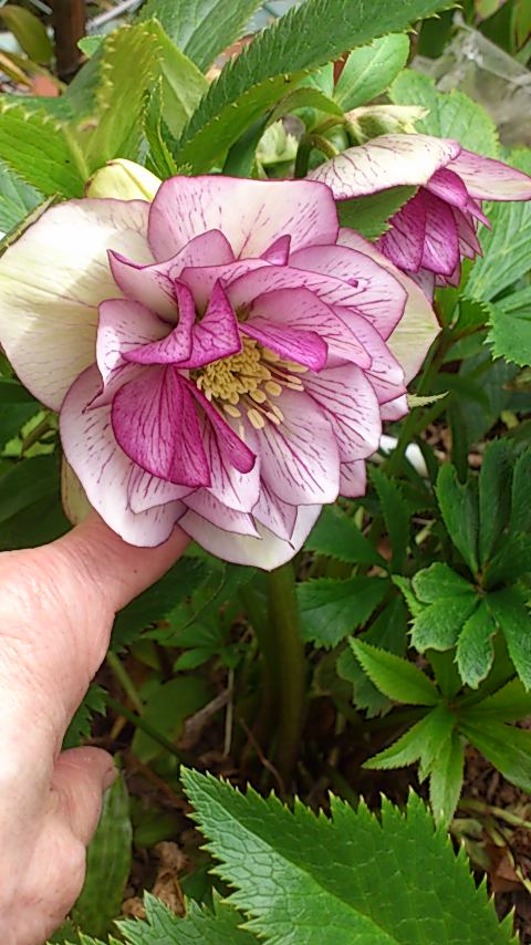 e0202385_2121181.jpg