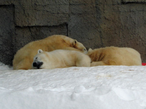 d0316387_2082715.jpg