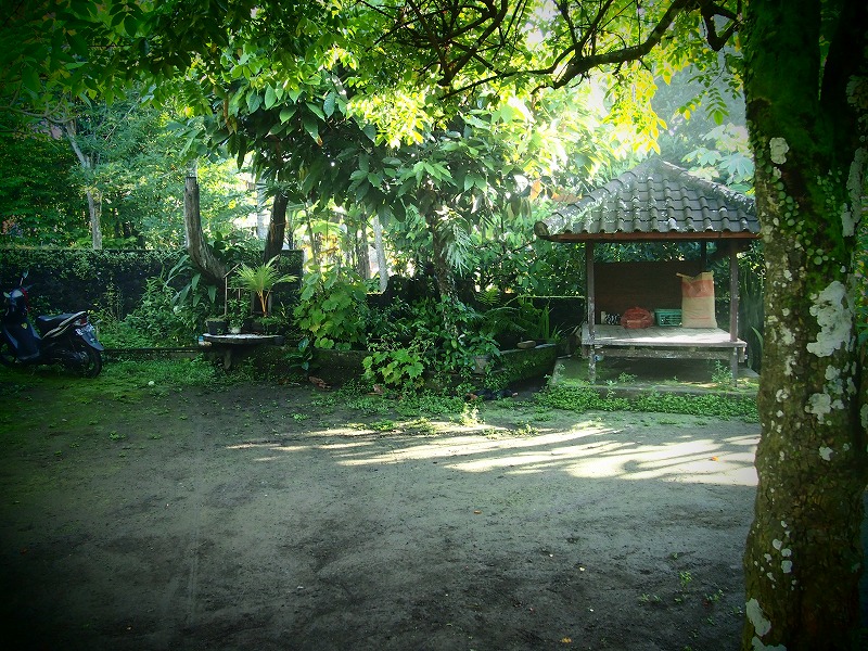 b0161391_17302372.jpg