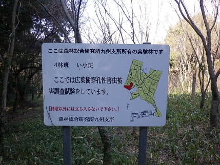 e0048994_9211457.jpg