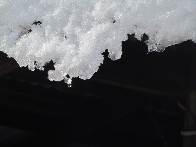 c0272200_9555315.jpg