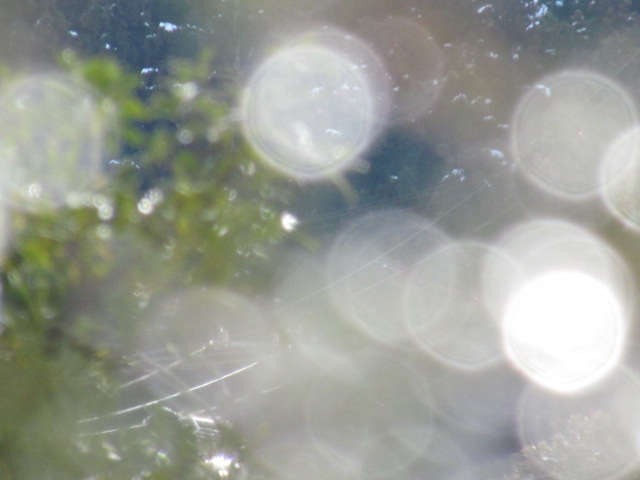 c0272200_9582521.jpg
