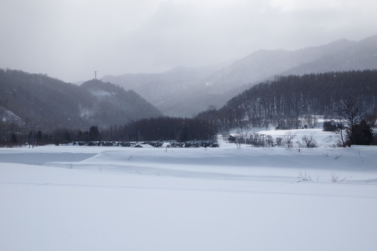 f0236201_10124214.jpg