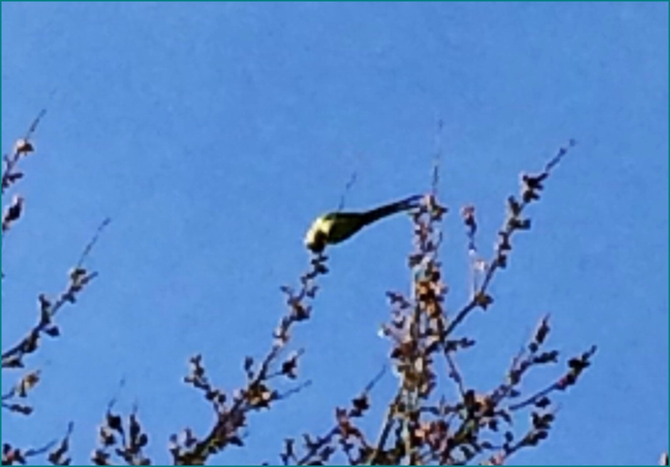 c0125105_223920.jpg