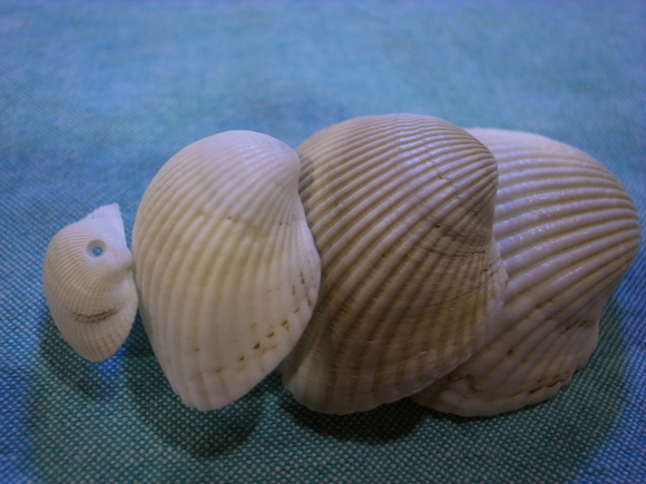 f0297809_0455424.jpg