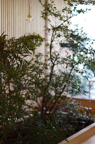 e0290310_9201298.jpg