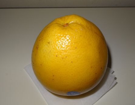b0017215_19362055.jpg