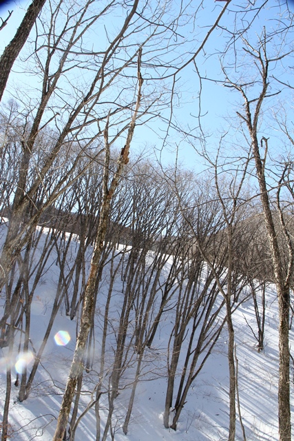 b0207615_20213338.jpg