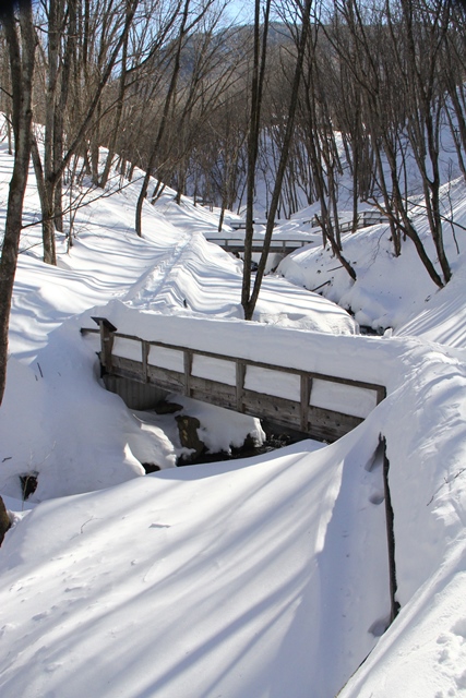 b0207615_22075908.jpg