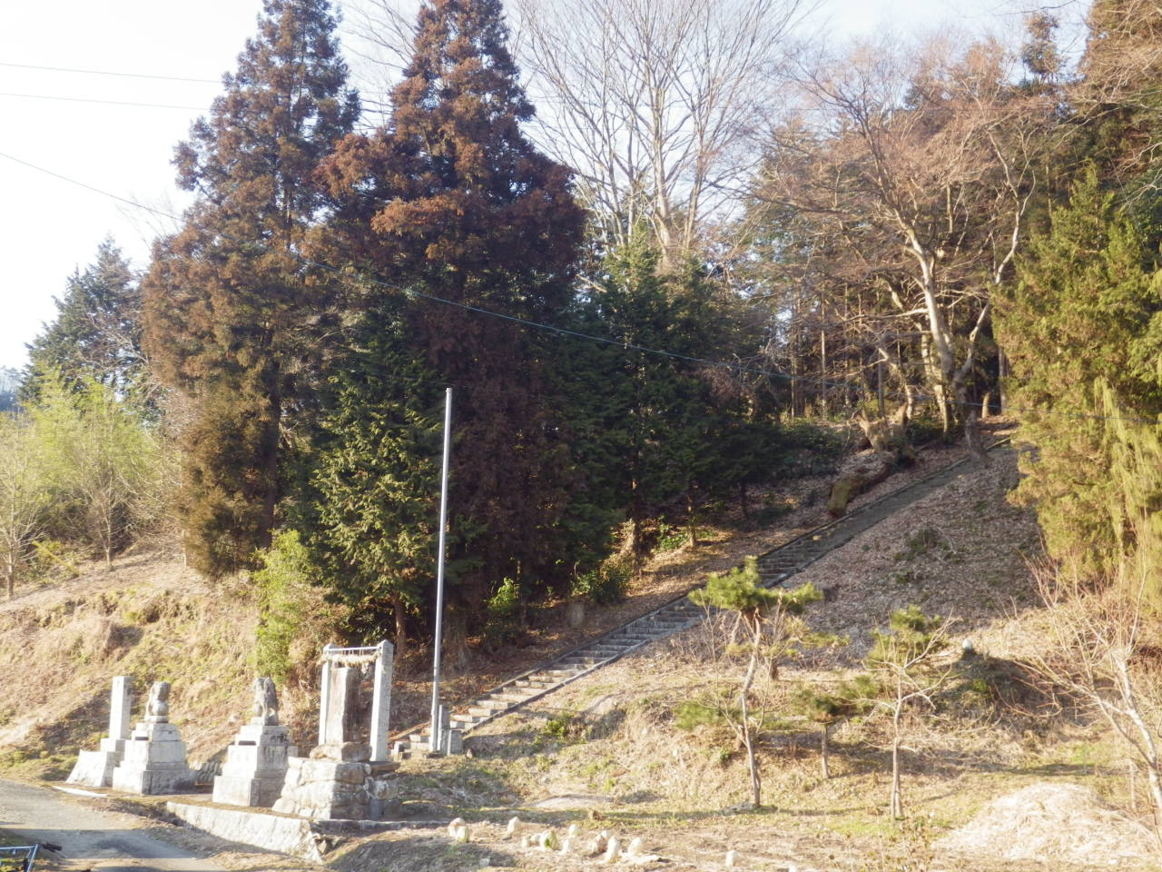c0300035_1131742.jpg