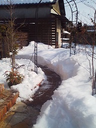 a0272241_18363212.jpg