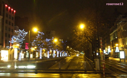 a0249051_602965.jpg