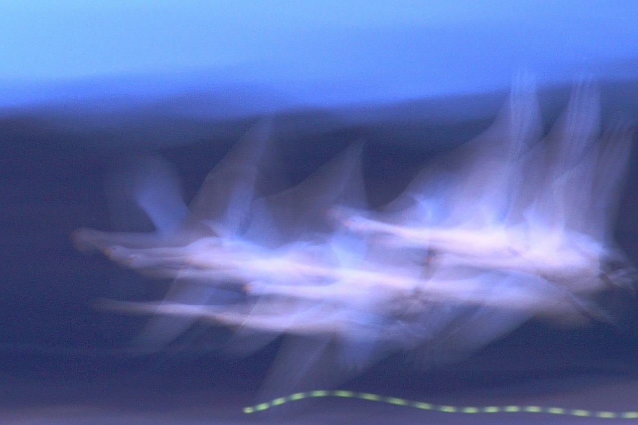 e0229455_07574297.jpg