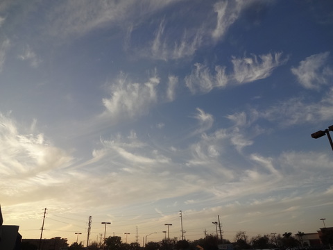 f0198556_250566.jpg
