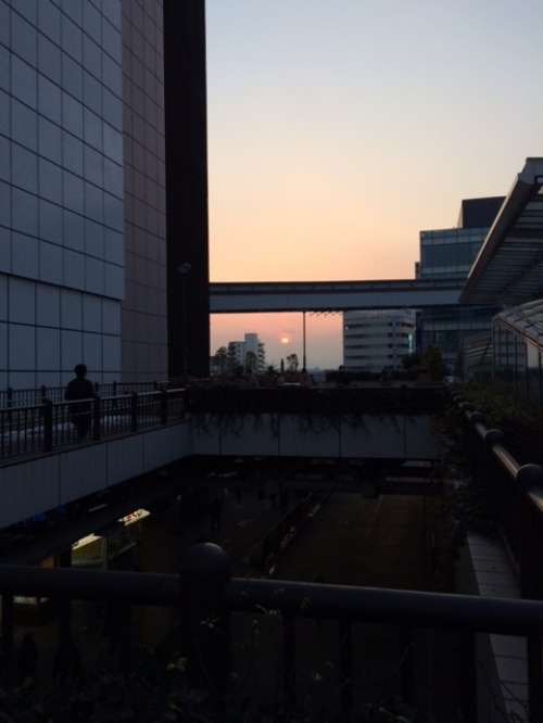 b0125570_11315672.jpg